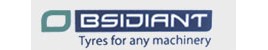 Obsidiant